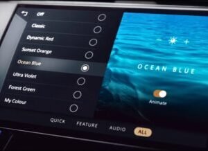 L460 プレミアムキャビン照明